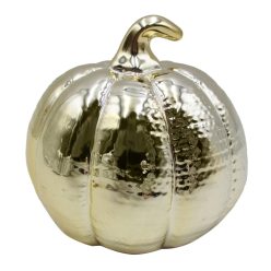 K.PUMPKIN GOLD 11*10,5