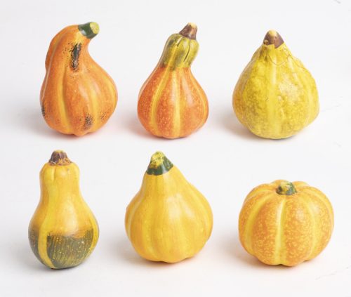 K.PUMPKINS*6 SORTIS 3,5*6
