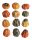 K.PUMPKIN*12 MIX SORTIS 3*4