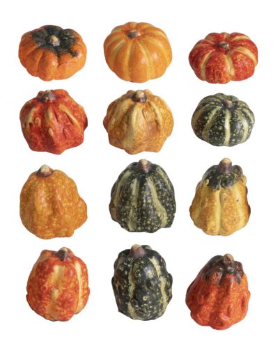 K.PUMPKIN*12 MIX SORTIS 3*4