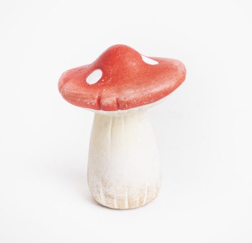 K.MUSHROOM DOTTED ORANGE 6,3
