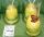 K.DECOR EGG YELLOW+FLOWER 10CM