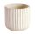 WET.BASKET.CIRCLE A.WHITE BORDER14*13