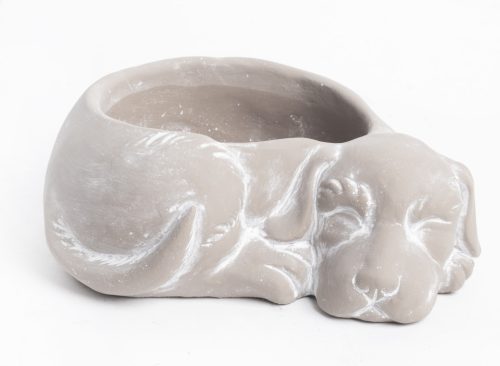 WET.BASKET.DOG GRAY/WHITE20*16