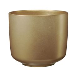 K.CAS.BARI GLAM GOLD 16*14