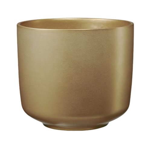 K.CAS.BARI GLAM GOLD 16*14