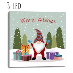 KÉP+3LED ORRSZAKÁLL+AJ30*30