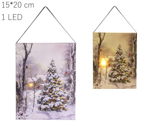 PICTURE+1LED AK.SNOWY FFA 15*20