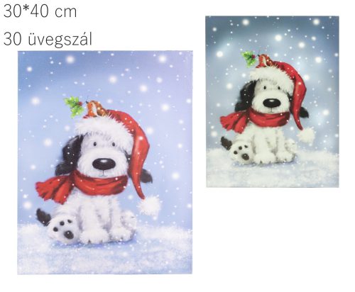 PICTURE + 30 GLASS DOG + MIK30 * 40