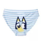 Bluey swim trunks for boys