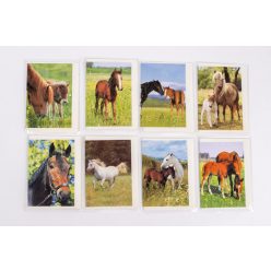 Greeting card/horse 9cm 8s/st