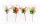 PICK HUNG.TOJÁS+FANYÚL 4S23