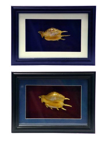 WOODEN PICTURE SHELL 1PC/2PCS