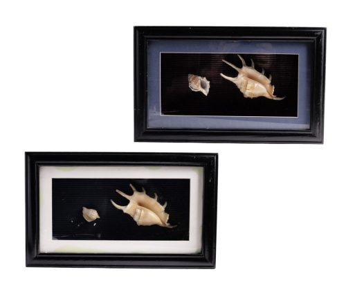 WOODEN PICTURE SHELL 2PCS 2PCS