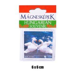 HM.SOUV.BALATON/SWAN 6*6CM