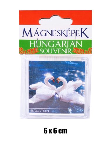 HM.SOUV.BALATON/SWAN 6*6CM