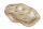 Ü.BOWL OVAL WAVY BROWN29