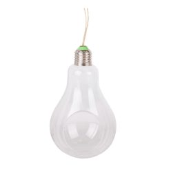 Transparent light bulb 12.5