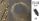 Wire wreath 2D 250L 50
