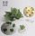 LED GRAPE LEAF 20LED 220CM