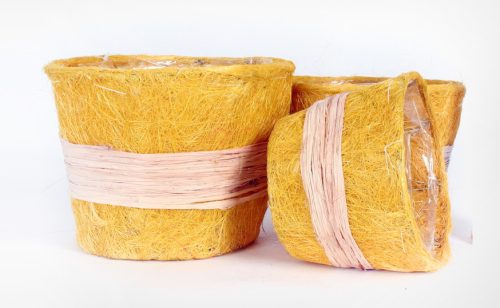 3 SISAL YELLOW ST.