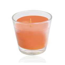 ILLATGY.TROP.MANGO+ÜVEG30Ó9