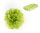 DEK.PAPER FLOWERBALL GREEN   15
