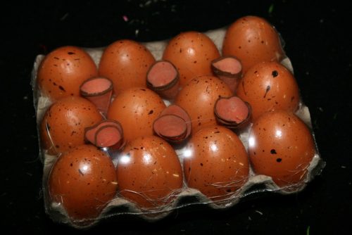 Easter eggs * 12/holder orange spot