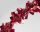BOA WIDE SHEET RED 12CM*2M