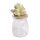 Holder+cactus plug lilac/green 11