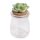Holder+cactus plug open 11