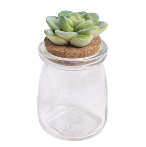 Holder+cactus plug open 11