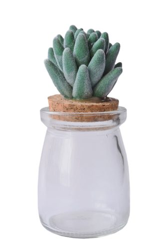 Holder+cactus plug green 11