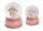 P.HAV.G.ANGEL PINK/BLUE 7.5*9
