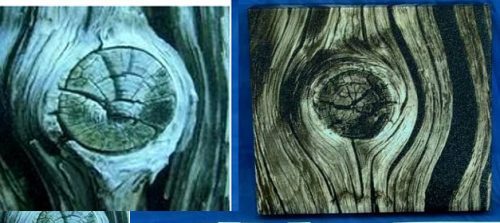 WOODEN PICTURE BARK 20*20 2PCS