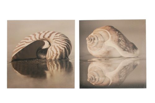 WOODEN PICTURE SHELL/SHADOW2PCS40*40