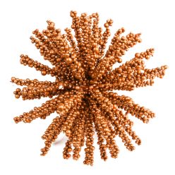 Hung. Snowflake berry gold 15