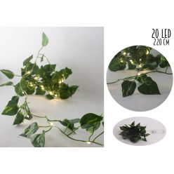 LED PHOTO GARLAND 20L 220CM