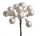 Ü.KD.GLOBE*3 PEACH+LEAF 8