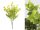 GREEN PLANT BOUQUET 35CM