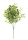 ACACIA BOUQUET 5 BRANCHES GREEN 36CM