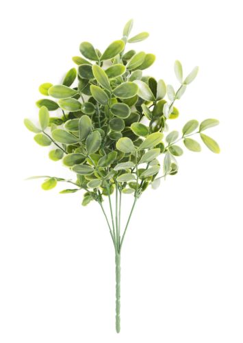 ACACIA BOUQUET 5 BRANCHES GREEN 36CM