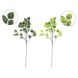 ÁG EUCALYPTUS ZÖLD    2S 90