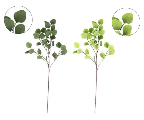 EUCALYPTUS GREEN BRANCH 2S 90