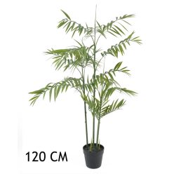 BAMBUSZPÁLMA ZÖLD     120CM
