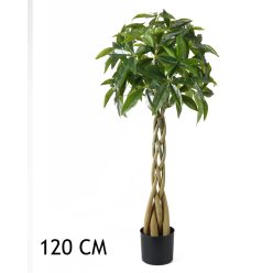 VADKAKAÓ 4TÖRZS ZÖLD  120CM