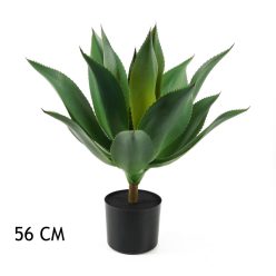 AGÁVÉ ZÖLD             56CM