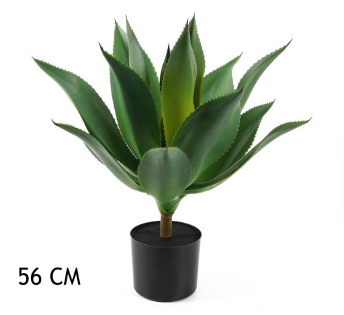 AGAVE GREEN 56CM