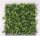 GREEN CUBE 50*50CM