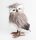 DEK.OWL BLACK/WHITE 17*26